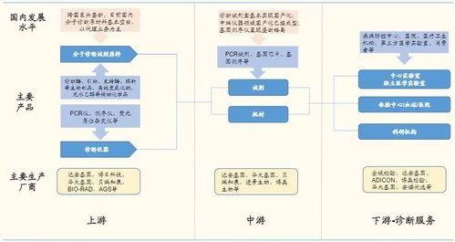 體外診斷3.0時代 分子診斷百花齊放，基礎軟件是決勝先機